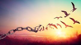 Birds fly away in the firmament after having broken their chain. A beautiful illustration of the struggle of LGBTQI + in Florida against oppression led by Ron DeSantis.