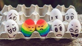 Two gay chicken eggs in a box of eggs, love each other with tender love, under the disapproving gaze of the other homophobic eggs in the box.